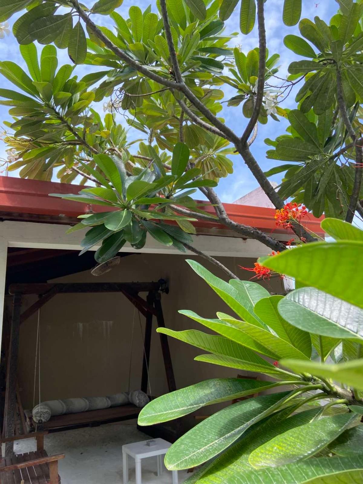 Cerulean View Residence Hanimaadhoo Island Eksteriør billede