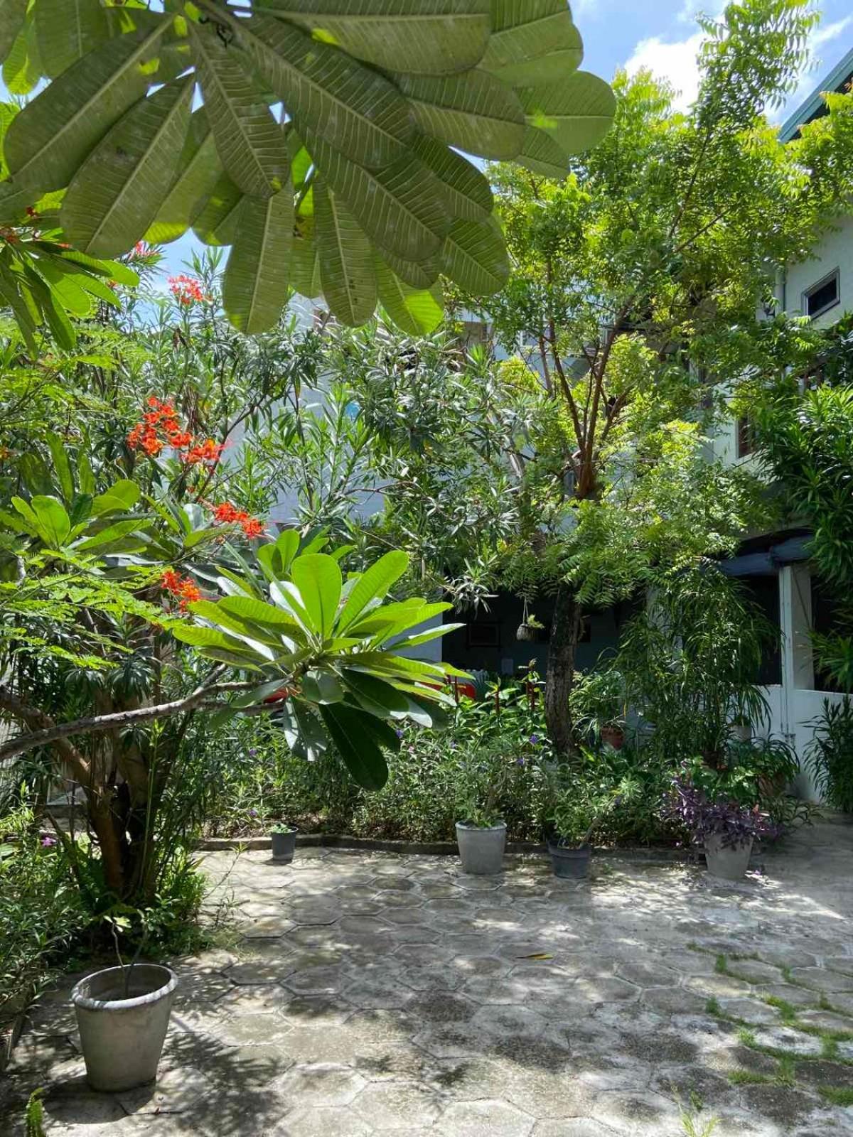 Cerulean View Residence Hanimaadhoo Island Eksteriør billede