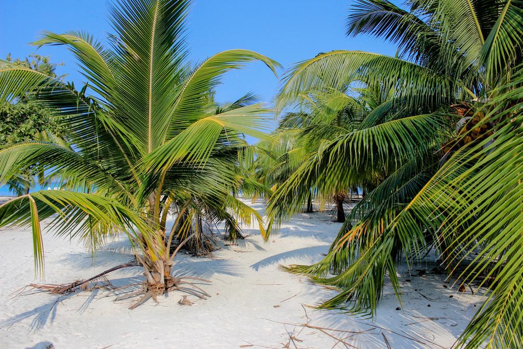 Cerulean View Residence Hanimaadhoo Island Eksteriør billede