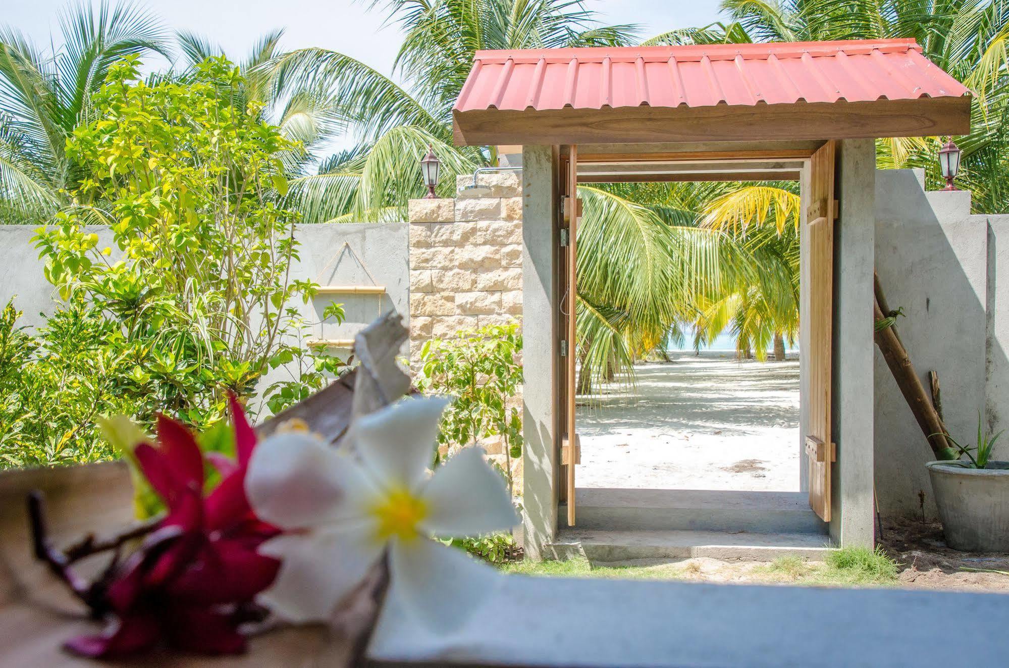 Cerulean View Residence Hanimaadhoo Island Eksteriør billede